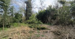 CHIGNOLO PO – Proprietà indipendente da ristrutturare
