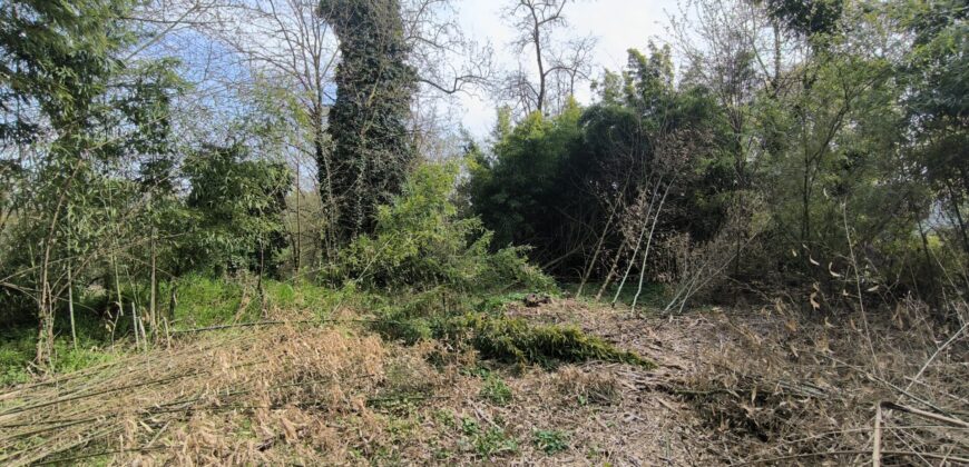 CHIGNOLO PO – Proprietà indipendente da ristrutturare