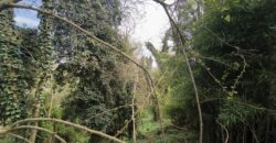 CHIGNOLO PO – Proprietà indipendente da ristrutturare