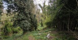 CHIGNOLO PO – Proprietà indipendente da ristrutturare