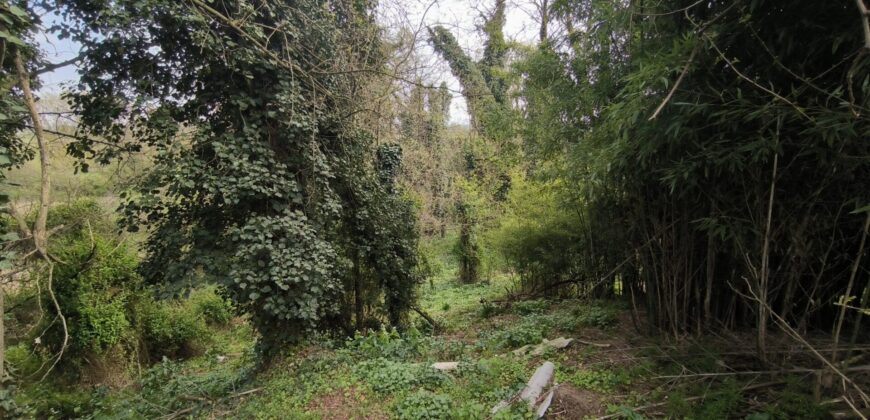 CHIGNOLO PO – Proprietà indipendente da ristrutturare