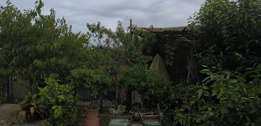 GRAFFIGNANA – Terreno agricolo