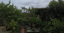GRAFFIGNANA – Terreno agricolo