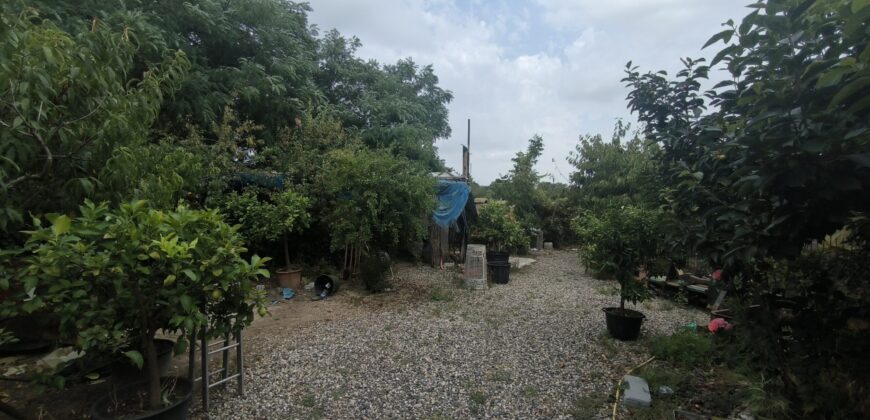 GRAFFIGNANA – Terreno agricolo