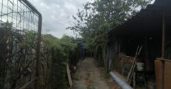 GRAFFIGNANA – Terreno agricolo