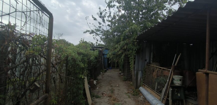 GRAFFIGNANA – Terreno agricolo