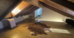 SANT’ANGELO LODIGIANO – Ottima casa semi indipendente