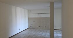 BORGHETTO LODIGIANO – Appartamento con giardino privato