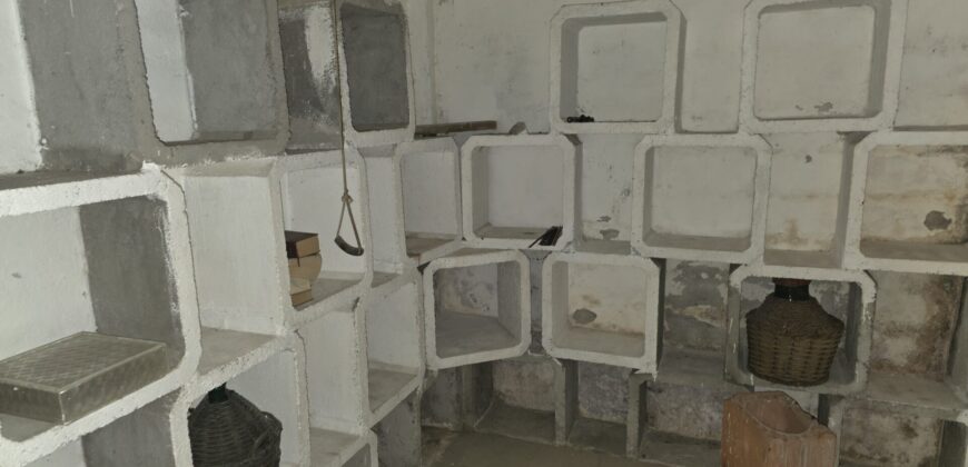 SAN COLOMBANO AL LAMBRO – Villa Singola in Vendita