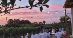 SAN COLOMBANO AL LAMBRO – Terreno agricolo