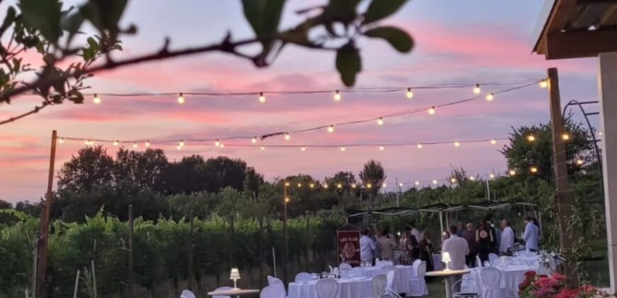 SAN COLOMBANO AL LAMBRO – Terreno agricolo