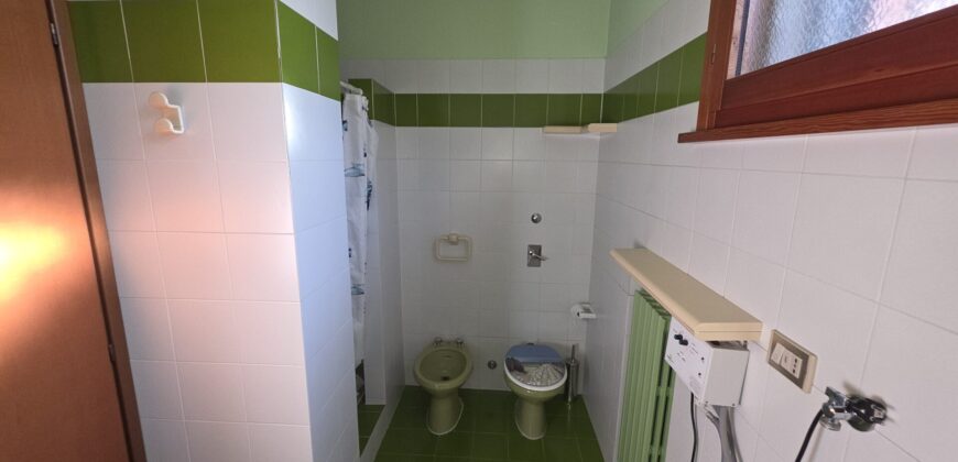 SANT’ANGELO LODIGIANO – Porzione di bivilla