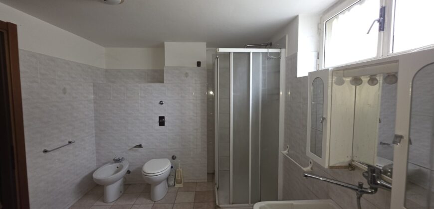 SANT’ANGELO LODIGIANO – Porzione di bivilla