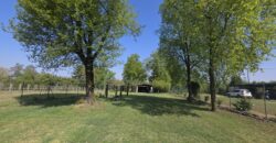 GRAFFIGNANA – Terreno agricolo in vendita