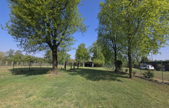 GRAFFIGNANA – Terreno agricolo in vendita