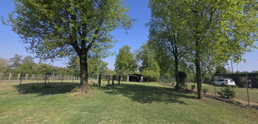 GRAFFIGNANA – Terreno agricolo in vendita