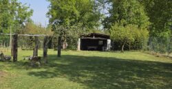 GRAFFIGNANA – Terreno agricolo in vendita