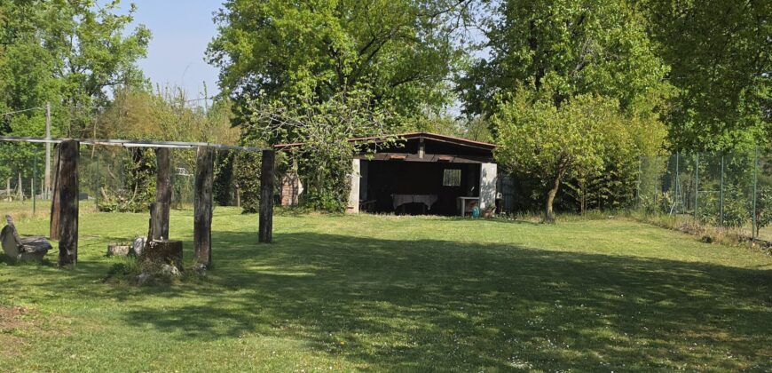 GRAFFIGNANA – Terreno agricolo in vendita