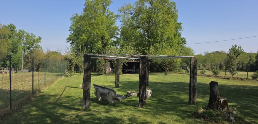 GRAFFIGNANA – Terreno agricolo in vendita