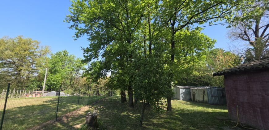 GRAFFIGNANA – Terreno agricolo in vendita