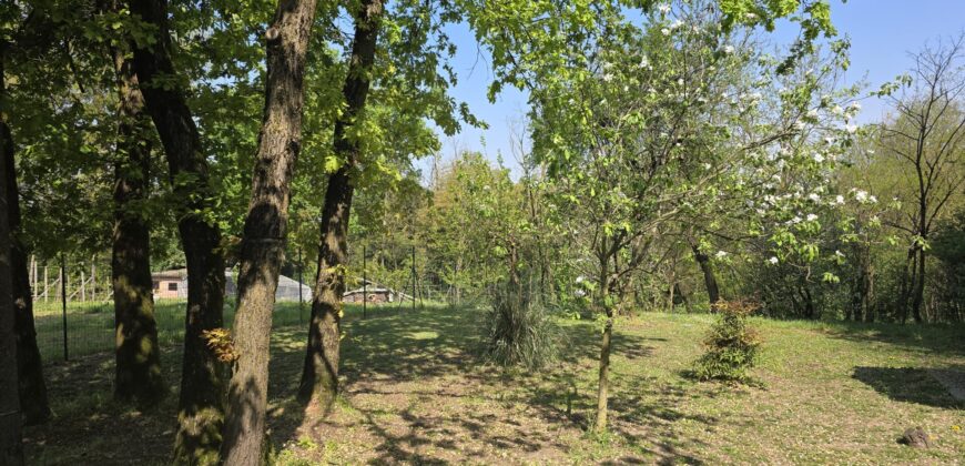 GRAFFIGNANA – Terreno agricolo in vendita