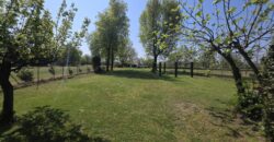 GRAFFIGNANA – Terreno agricolo in vendita