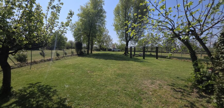 GRAFFIGNANA – Terreno agricolo in vendita