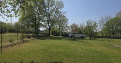 GRAFFIGNANA – Terreno agricolo in vendita