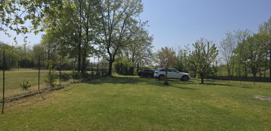 GRAFFIGNANA – Terreno agricolo in vendita