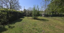 GRAFFIGNANA – Terreno agricolo in vendita