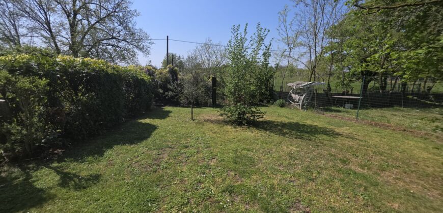 GRAFFIGNANA – Terreno agricolo in vendita