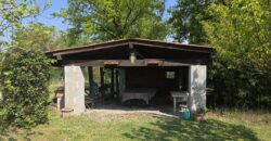 GRAFFIGNANA – Terreno agricolo in vendita