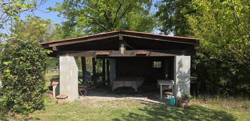 GRAFFIGNANA – Terreno agricolo in vendita