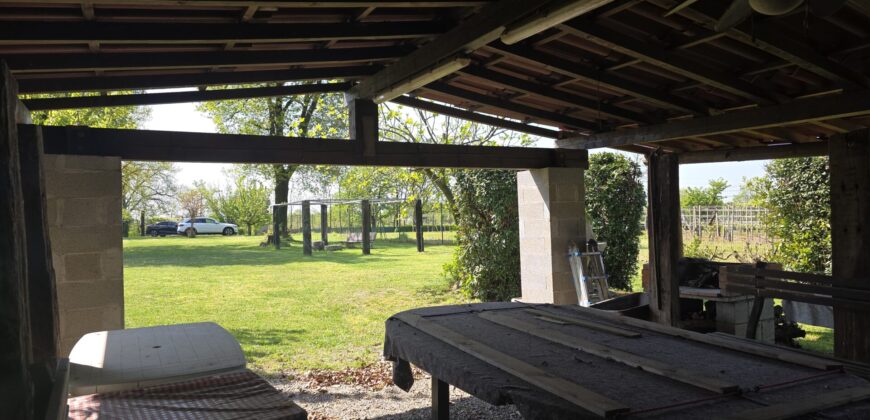 GRAFFIGNANA – Terreno agricolo in vendita