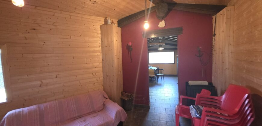 GRAFFIGNANA – Terreno agricolo in vendita