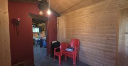 GRAFFIGNANA – Terreno agricolo in vendita