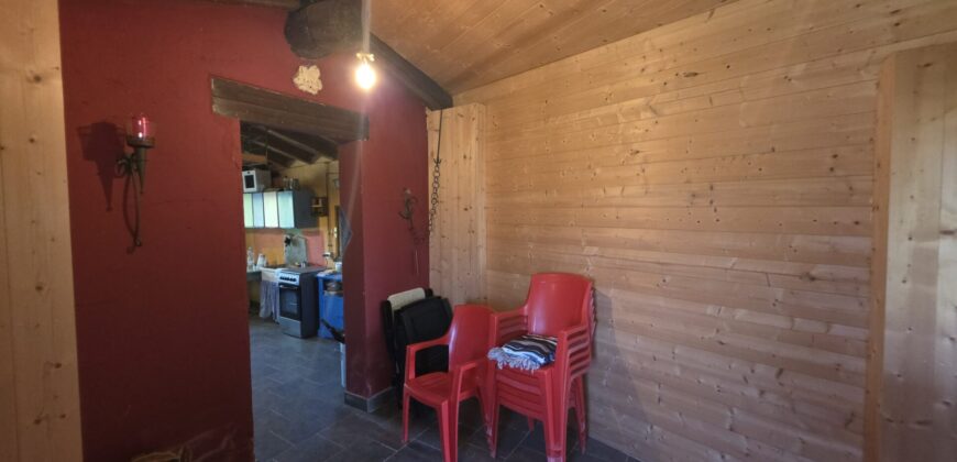 GRAFFIGNANA – Terreno agricolo in vendita