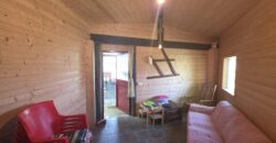 GRAFFIGNANA – Terreno agricolo in vendita