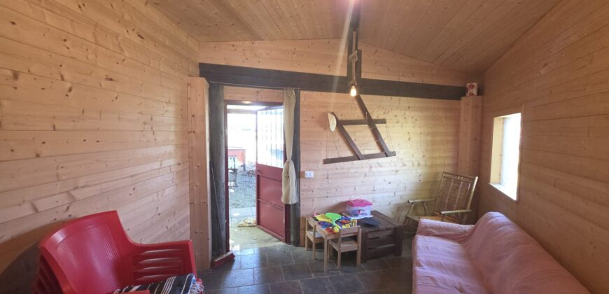 GRAFFIGNANA – Terreno agricolo in vendita