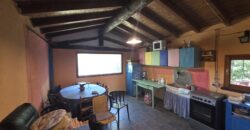 GRAFFIGNANA – Terreno agricolo in vendita