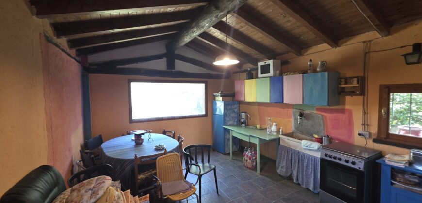 GRAFFIGNANA – Terreno agricolo in vendita