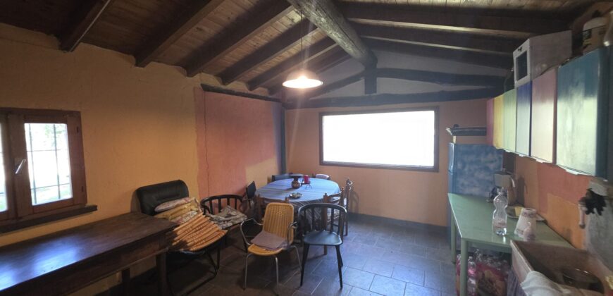 GRAFFIGNANA – Terreno agricolo in vendita