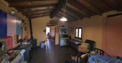 GRAFFIGNANA – Terreno agricolo in vendita