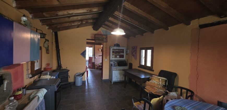 GRAFFIGNANA – Terreno agricolo in vendita