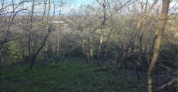 SAN COLOMBANO AL LAMBRO – Terreno agricolo