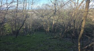 SAN COLOMBANO AL LAMBRO – Terreno agricolo