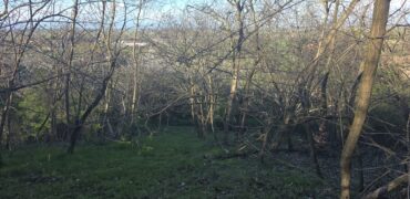 SAN COLOMBANO AL LAMBRO – Terreno agricolo