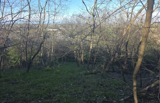 SAN COLOMBANO AL LAMBRO – Terreno agricolo