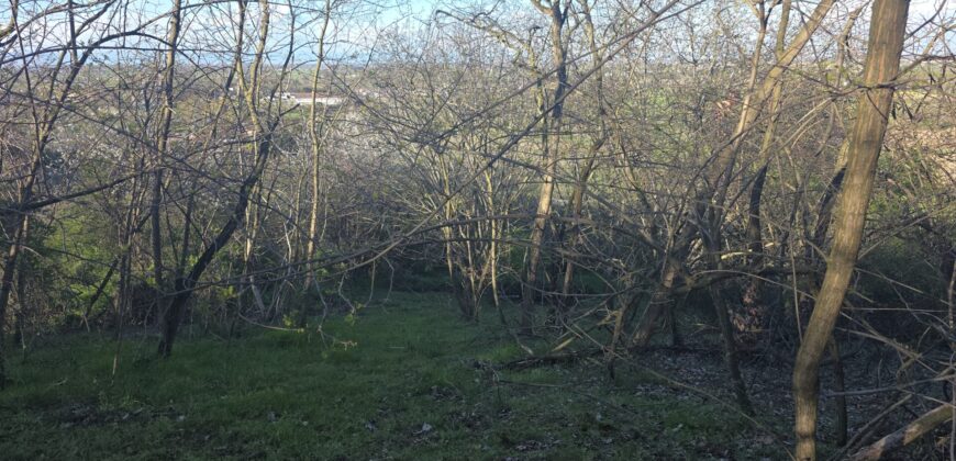 SAN COLOMBANO AL LAMBRO – Terreno agricolo