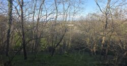 SAN COLOMBANO AL LAMBRO – Terreno agricolo